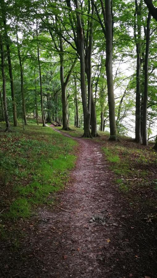 Kastanievejens Overnatning Svendborg Esterno foto